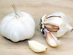 garlic