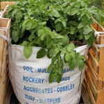 Grow Bag