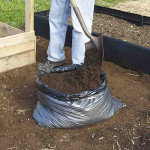 planting-potatoes-5